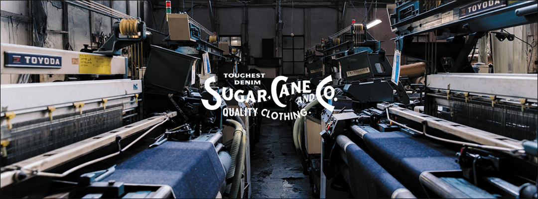 sugarcane